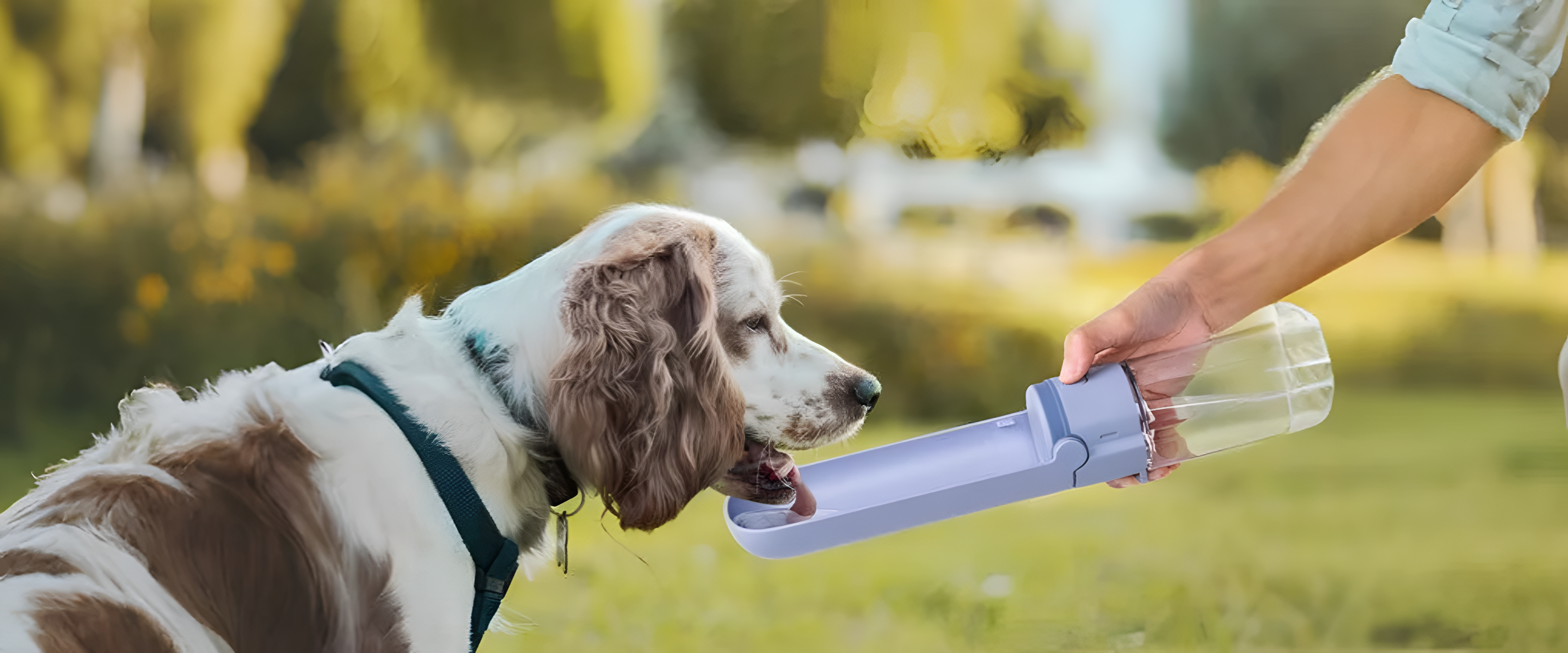 slider image slider_item_NPWgMV